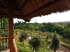 zalete_MG_7636