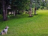 zalete_MG_7776