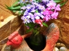 zalete_MG_8233