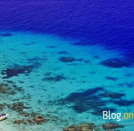 similan_MG_1897