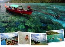 header_surin header_surin