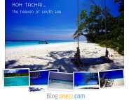 header_tachai2
