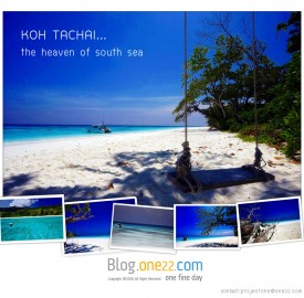 header_tachai2