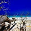 tachai_MG_2329