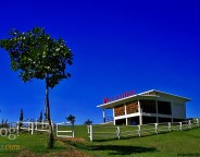 swissvalley_MG_7367_1