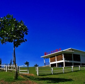 swissvalley_MG_7367_1