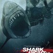 shank_night3d_poster
