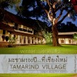 tamarind_cover