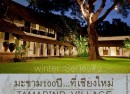 tamarind_cover