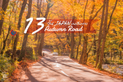 13 วัน 5 จังหวัด 1,300 กิโลเมตรขับรถไล่ล่าใบไม้เปลี่ยนสี Japan!