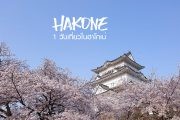 รีวิว 1 Day in Hakone วันเดียวพาครอบครัวเที่ยว ฮาโกเน่ 