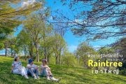 รีวิวรีสอร์ทเขาใหญ่ สุดเก๋ raintreekhaoyai