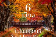 6 เมืองใบไม้เปลี่ยนสีใกล้โตเกียว