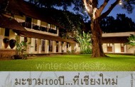 ที่พัก:Tamarind Village มะขาม200(กว่า)ปีกับครอบครัวตัวดี...ที่เชียงใหม่