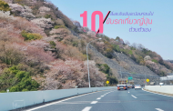 10 สิ่งละอันพันละน้อย ก่อนจะพาครอบครัวขับรถเที่ยวญี่ปุ่นด้วยตัวเอง