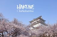 รีวิว 1 Day in Hakone วันเดียวพาครอบครัวเที่ยว ฮาโกเน่ 