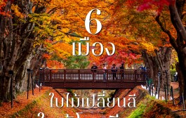 6 เมืองใบไม้เปลี่ยนสีใกล้โตเกียว