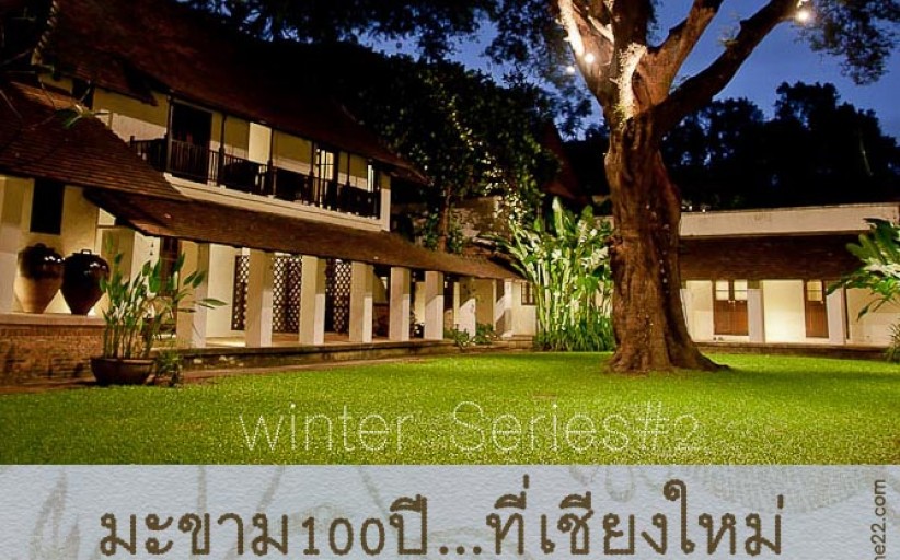 ที่พัก:Tamarind Village มะขาม200(กว่า)ปีกับครอบครัวตัวดี...ที่เชียงใหม่