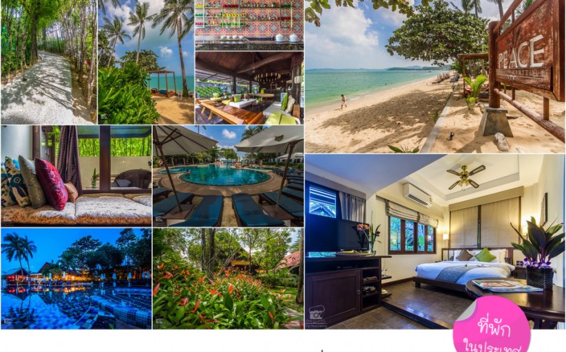 ที่พัก:Peace Resort Samui เมื่อสีเขียวของต้นไม้ พบรักกับท้องฟ้า...ที่สมุย