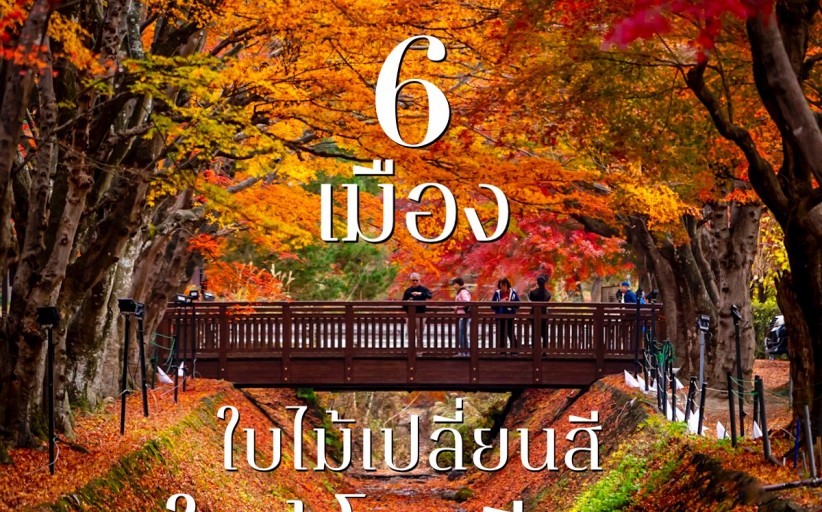 6 เมืองใบไม้เปลี่ยนสีใกล้โตเกียว