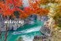 รีวิว 13 วันขับรถเที่ยวเกาะใต้ นิวซีแลนด์แบบครอบครัวภาค Plan Trip