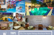 รีวิว The Agate Pattaya Boutique Resort และ Cartoon Network Amazone