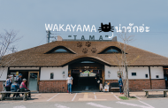 7 ที่ทำให้คุณอยากไป Wakayama เมืองอะไร ดี๊ดี ติดกับ Osaka ไปง่ายมาก