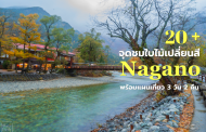 20+จุดชมใบไม้เปลี่ยนสีนากาโนะ พร้อม Plan Trip Autumn Leaves Nagano