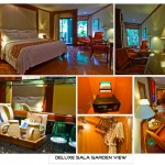 deluxe_sala_garden