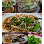 food_firstday