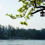 DSC00913
