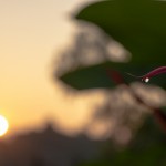 zen-5268