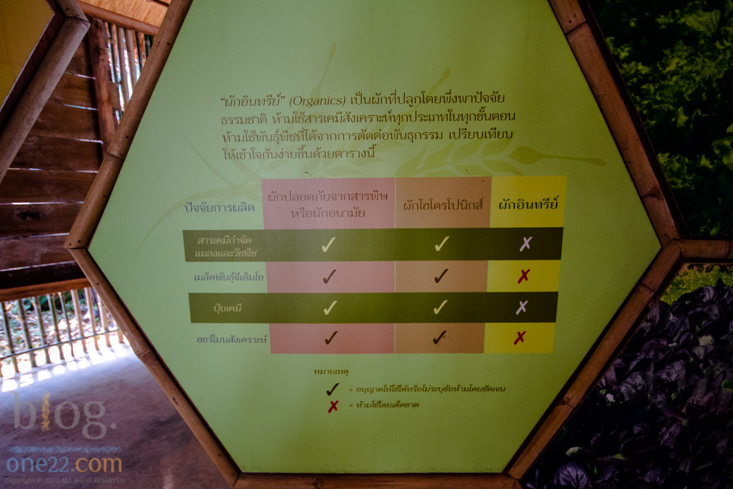 sukhothai-5545