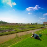 sukhothai-5589