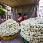 india-7161