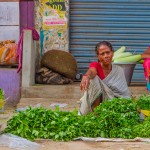 india-7556
