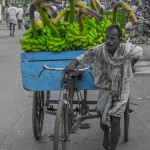 india-7563