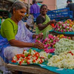 india-7598