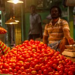 india-7665