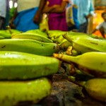 india-7670