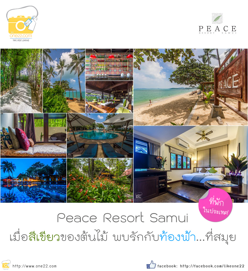 Bangkok Air Bean Bag, Sand Dining Table, Peace Resort, samui resort, Sea Wrap, ที่พักสมุย, บางกอกแอร์, บูติกรีสอร์ทสมุย, ร้านริมน้ำ, ร้านอาหารสมุย, ร้านแนะนำสมุย, เที่ยวบินสมุย, โรงแรมสมุย