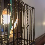 peace_resort-8809