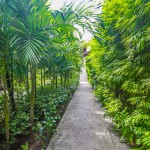 peace_resort-8841