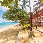 peace_resort-8855
