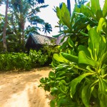 peace_resort-8859