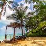 peace_resort-8861