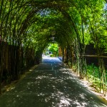 peace_resort-8896