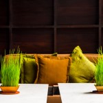 peace_resort-8921