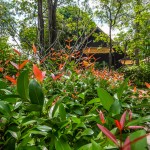 peace_resort-8996
