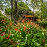 peace_resort-8997